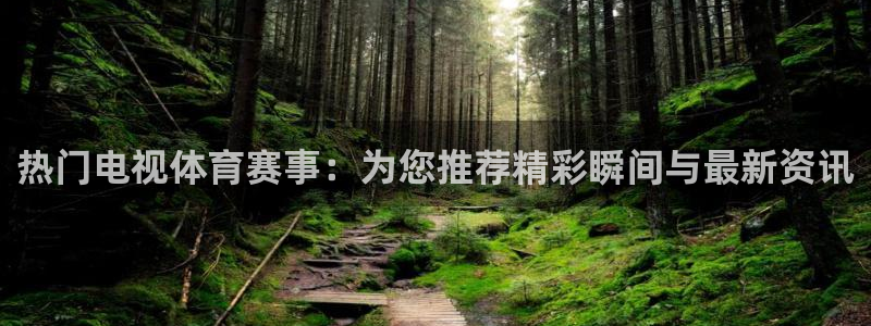 五星体育直播吧
