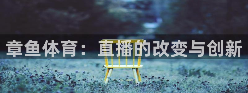 上海五星体育手机在线观看