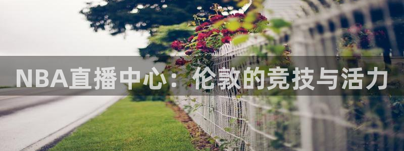 五星体育公众号直播：NBA直播中心：伦敦的竞技与活力