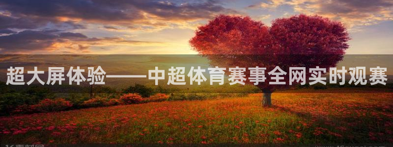 五星体育怎么看f1直播：超大屏体验——中超体育赛事全网实时观赛