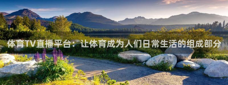 上海五星体育直播app下载：体育TV直播平台：让体育成为人们日常生活的组成部分